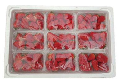 九合一草莓箱|秦皇岛海山泡沫制品有限公司