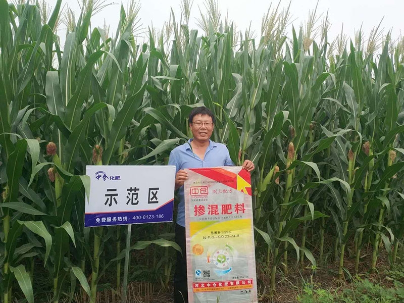 赵录卫在  区玉米种植示范基地