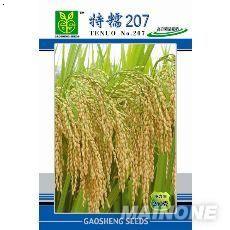 【水稻种子质量】_水稻种子质量地址_水稻种