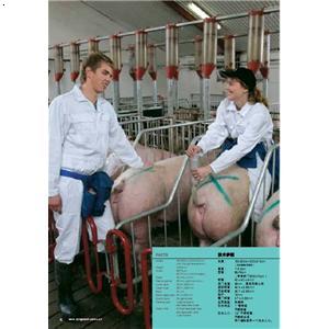 养猪设备_青岛华牧机械有限公司-必途 b2b.cn