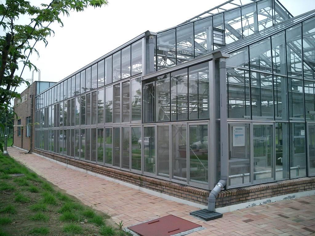 温室大棚-单体薄膜大棚-蔬菜温室大棚-长沙利人温室工程有限公司