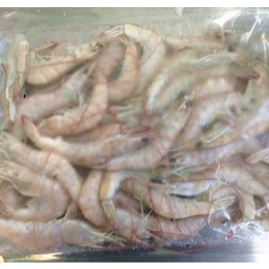 南美白对虾-生虾 Vannamei shrimp
