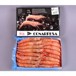 阿根廷红虾  Argentina red shrimp