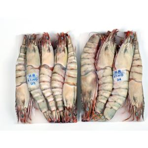 黑虎虾 Black tiger shrimp