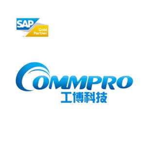 【SAP是一家上市公司吗?SAP指的是什么意思