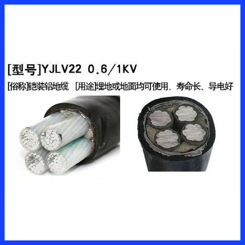 低压辐照交联聚乙烯绝缘电力电缆（0.6-1KV）